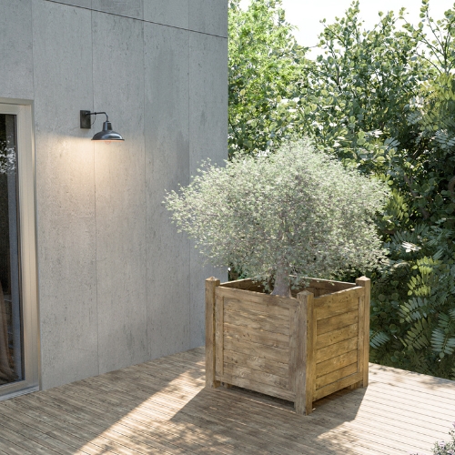 Iberia Olive Tree Planter 100 x 100 cm